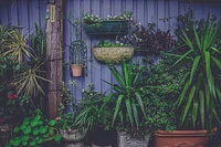 Transform Your Garden With a Shipping Container